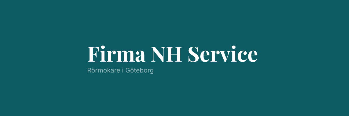 Firma NH Service