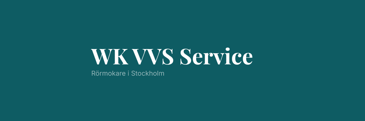 WK VVS Service